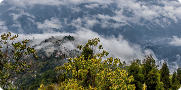 Mornings in the Mist: Experiencing the Quiet Charm of Kalimpong